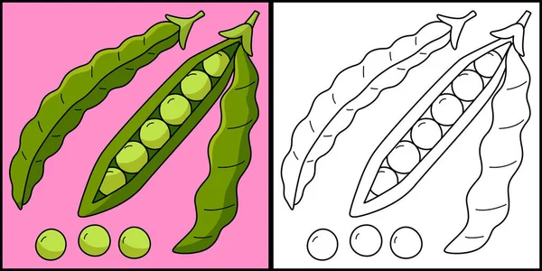 この着色ページには緑豆の果実があります このイラストの片側は着色されており 子供のためのインスピレーションとして機能します — ストックベクタ