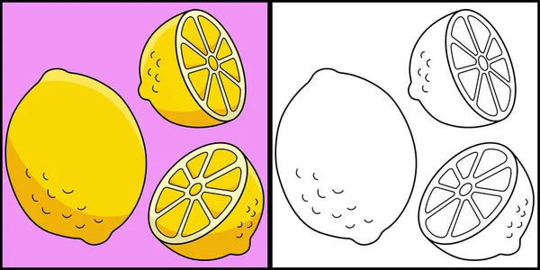 この着色ページにはレモンフルーツがあります このイラストの片側は着色されており 子供のためのインスピレーションとして機能します — ストックベクタ