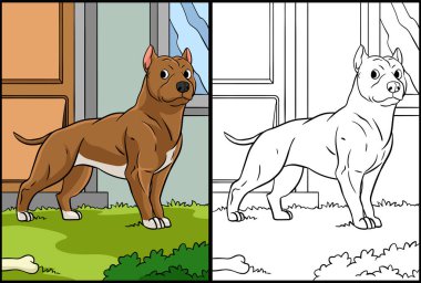 Bu renkli sayfa pitbull 'u gösteriyor. Bu illüstrasyonun bir tarafı renkli ve çocuklar için bir ilham kaynağı.. 