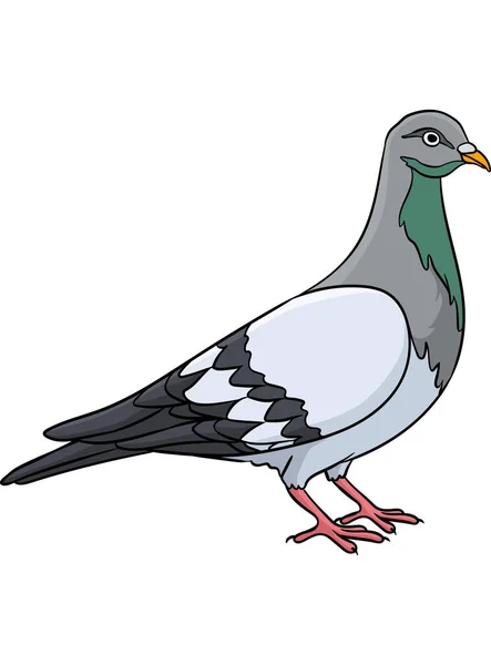 这个卡通片里有一个鸽子的图解 — 图库矢量图片