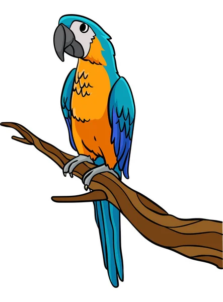 Tento Kreslený Kliparty Ukazuje Papouška Ilustrace — Stockový vektor