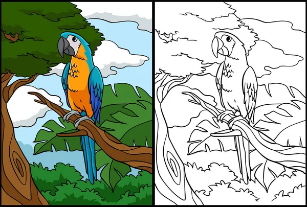 페이지에는 앵무새가 그려져 이비유의한 있으며 어린이들에게 영감을 역할을 — 스톡 벡터