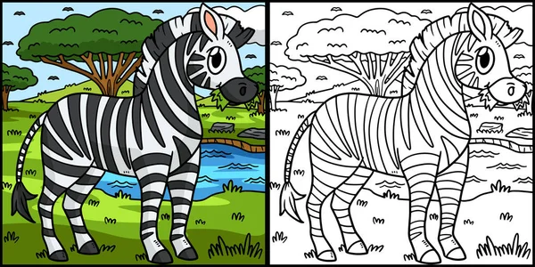 Deze Kleurplaat Toont Een Zebra Een Kant Van Deze Illustratie — Stockvector