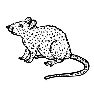 Fare 'nin şirin ve güzel renkli bir sayfası. Yetişkinlere saatlerce boyama eğlencesi sağlar.