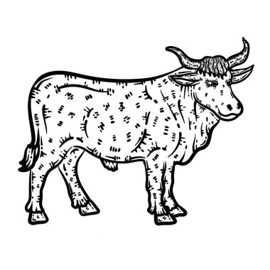 Tatlı ve güzel bir öküz boyama sayfası. Yetişkinlere saatlerce boyama eğlencesi sağlar.