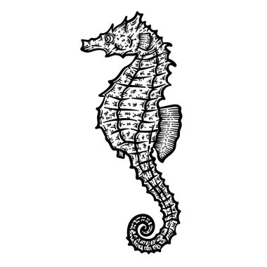 Deniz Atı 'nın şirin ve güzel bir boyama sayfası. Yetişkinlere saatlerce boyama eğlencesi sağlar.