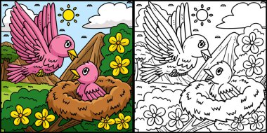 Bu renkli sayfada Anne ve Yavru Kuş var. Bu illüstrasyonun bir tarafı renkli ve çocuklar için bir ilham kaynağı.. 