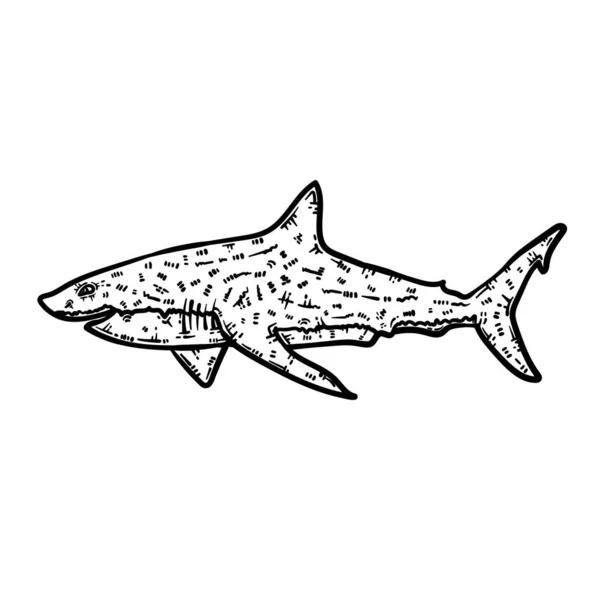 Bir Köpekbalığının Şirin Güzel Renkli Sayfası Yetişkinlere Saatlerce Boyama Eğlencesi — Stok Vektör