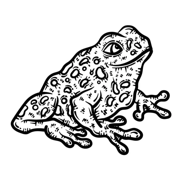 Cute Beautiful Coloring Page Frog Provides Hours Coloring Fun Adults — Vector de stock