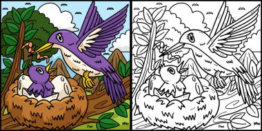 Bu renkli sayfada bir Anne Kuş ve bir Fledgling var. Bu illüstrasyonun bir tarafı renkli ve çocuklar için bir ilham kaynağı..