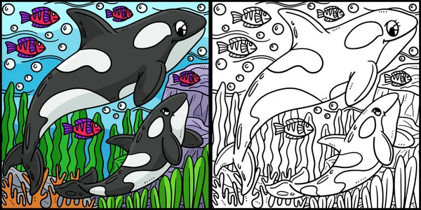 Coloring Page Shows Mother Killer Whale Baby Killer Whale One — Stock Vector