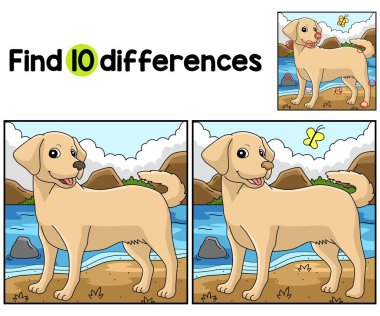 Labrador Köpek Avcısı Çocuklar aktivite sayfasındaki farklılıkları bul ya da tespit et. Çocuklar için eğlenceli ve eğitici bir bulmaca eşleştirme oyunudur..