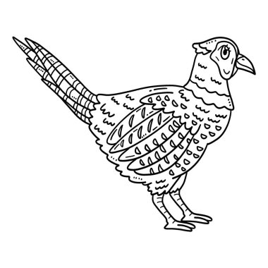 Sıradan bir Sülün Kuşu 'nun sevimli ve komik renkli sayfası. Çocuklar için saatlerce boyama eğlencesi sağlıyor. Renklendirmek için, bu sayfa çok kolaydır. Küçük çocuklar ve yeni yürümeye başlayanlar için uygun.. 