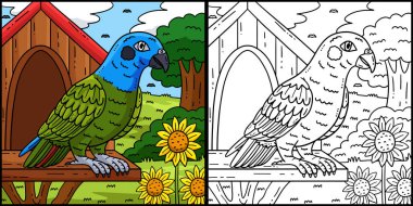 Bu renkli sayfada Pionus Papağan Kuşu var. Bu illüstrasyonun bir tarafı renkli ve çocuklar için bir ilham kaynağı..