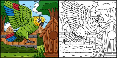 Bu renkli sayfa Amazon Papağan Kuşunu gösteriyor. Bu illüstrasyonun bir tarafı renkli ve çocuklar için bir ilham kaynağı..