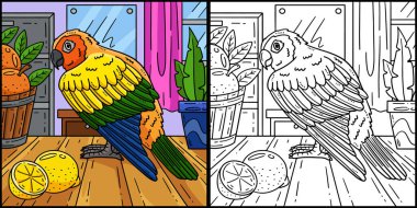 Bu renkli sayfa Conure Bird 'ü gösteriyor. Bu illüstrasyonun bir tarafı renkli ve çocuklar için bir ilham kaynağı..