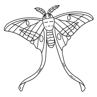 Bir Böcek Ay Güvesi Hayvanı 'nın sevimli ve komik renkli sayfası. Çocuklar için saatlerce boyama eğlencesi sağlıyor. Renklendirmek için, bu sayfa çok kolaydır. Küçük çocuklar ve yeni yürümeye başlayanlar için uygun..