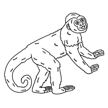 Capuchin Maymun Hayvanı 'nın şirin ve komik renkli sayfası. Çocuklar için saatlerce boyama eğlencesi sağlıyor. Renk, bu sayfa çok kolay. Küçük çocuklar ve yeni yürümeye başlayanlar için uygun..