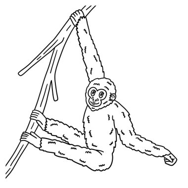 Ağaçta sallanan bir Gibbon Maymun Hayvanı 'nın şirin ve komik renkli sayfası. Çocuklar için saatlerce boyama eğlencesi sağlıyor. Renk, bu sayfa çok kolay. Küçük çocuklar ve yeni yürümeye başlayanlar için uygun..
