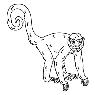Örümcek Maymun Hayvanı 'nın şirin ve komik renkli sayfası. Çocuklar için saatlerce boyama eğlencesi sağlıyor. Renk, bu sayfa çok kolay. Küçük çocuklar ve yeni yürümeye başlayanlar için uygun..