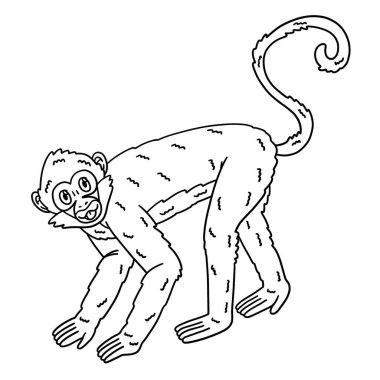 Bir Geoffroy Örümcek Maymunu 'nun sevimli ve komik renkli sayfası. Çocuklar için saatlerce boyama eğlencesi sağlıyor. Renklendirmek için, bu sayfa çok kolaydır. Küçük çocuklar ve yeni yürümeye başlayanlar için uygun..