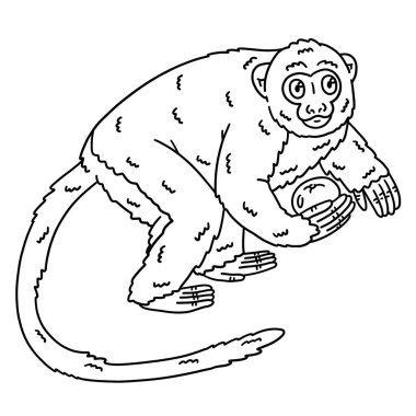 Gece Maymunu Hayvanı 'nın sevimli ve komik renkli sayfası. Çocuklar için saatlerce boyama eğlencesi sağlıyor. Renklendirmek için, bu sayfa çok kolaydır. Küçük çocuklar ve yeni yürümeye başlayanlar için uygun..