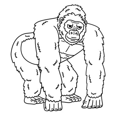 Goril Büyük Maymunlar Hayvanı 'nın sevimli ve komik renkli sayfası. Çocuklar için saatlerce boyama eğlencesi sağlıyor. Renklendirmek için, bu sayfa çok kolaydır. Küçük çocuklar ve yeni yürümeye başlayanlar için uygun..