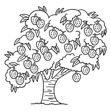 Bir Lychee ağacının sevimli ve komik renkli sayfası. Çocuklar için saatlerce boyama eğlencesi sağlıyor. Renklendirmek için, bu sayfa çok kolaydır. Küçük çocuklar ve yeni yürümeye başlayanlar için uygun..