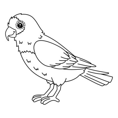 Bird Conure 'un şirin ve komik renkli sayfası. Çocuklar için saatlerce boyama eğlencesi sağlıyor. Renklendirmek için, bu sayfa çok kolaydır. Küçük çocuklar ve yeni yürümeye başlayanlar için uygun.. 
