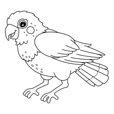 Kuş Pionus Papağanı 'nın sevimli ve komik renkli bir sayfası. Çocuklar için saatlerce boyama eğlencesi sağlıyor. Renklendirmek için, bu sayfa çok kolaydır. Küçük çocuklar ve yeni yürümeye başlayanlar için uygun.. 