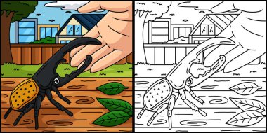 Bu karikatür karikatürü Herkül Böceği çizimini gösteriyor..