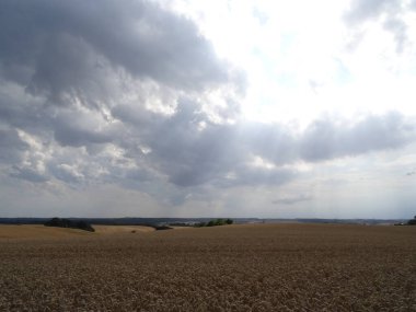 Bulutlu gökyüzünün altındaki altın buğday tarlası gündüz vakti 
