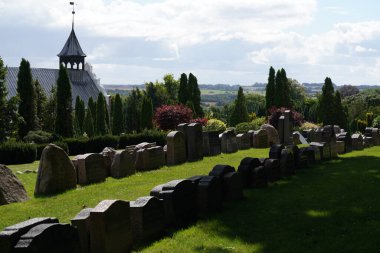 Yeşil ağaçlarla dolu mezarlık parkının güzel manzarası. 