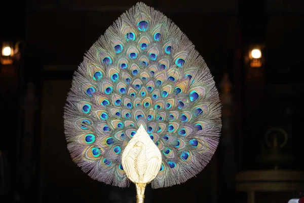 Decoration with peacock feather in temple