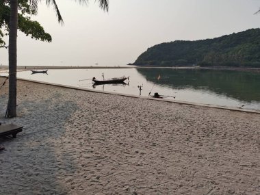 Palmiye ağaçları ve denizi olan güzel tropikal plajlar