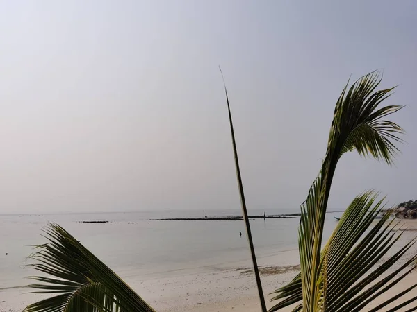 Piękna Tropikalna Plaża Palmy — Zdjęcie stockowe