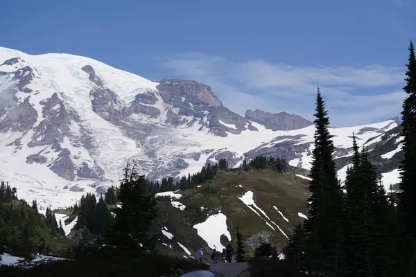 雄大な雪の山の景観 — ストック写真