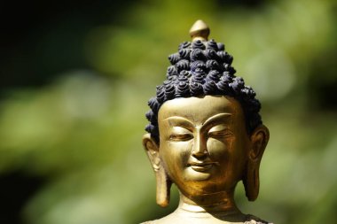 Buda heykeli parkta.