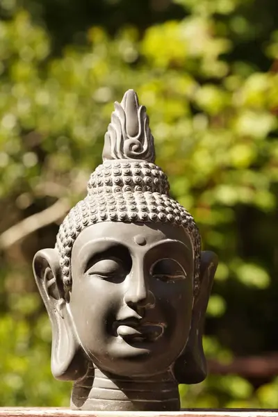 Buddha Cabeça Árvore Perto — Fotografia de Stock