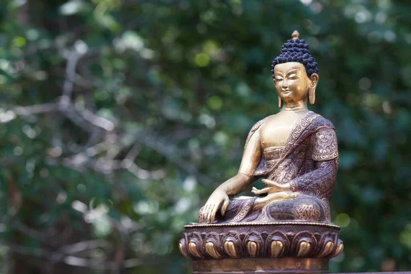 仏陀は石の上に立っている — ストック写真