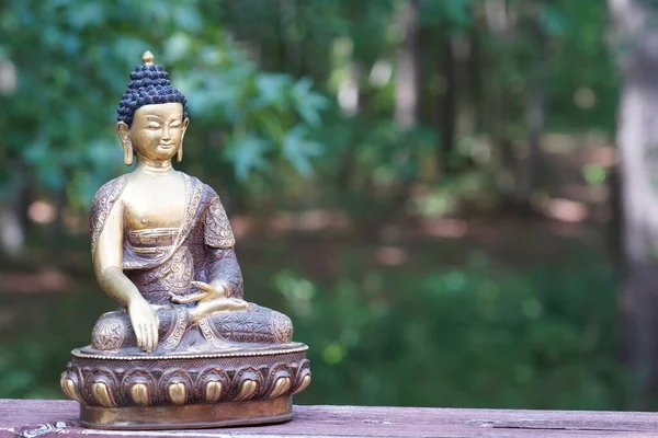 森に座っている仏像 宗教コンセプト — ストック写真