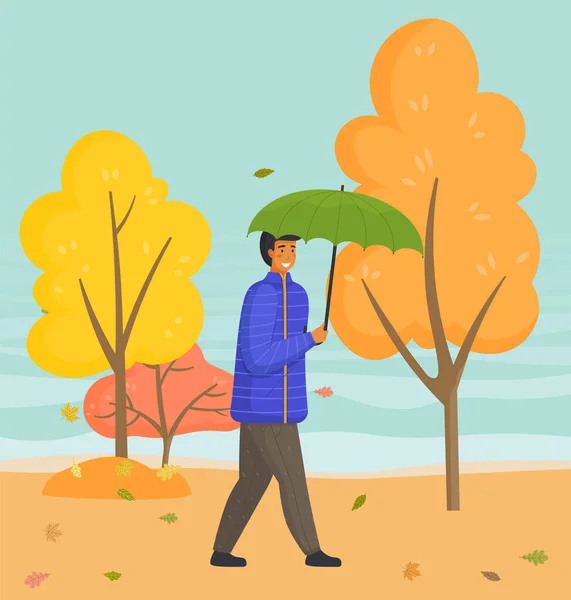 若者は秋の公園や森の中を歩く 青いジャケットを着た男が緑色の傘を持っている 秋の風景 黄色の木々 風の天気 黄色の風景 一人で時間を 平面像 — ストックベクタ