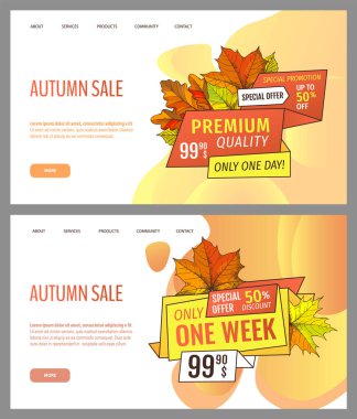 Mağaza ve vektörlerden mevsimlik teklifler içeren kartlar. Sonbaharda mağaza satışı. Sonbahar indirimleri var. Sonbahar yaprakları altın etiketli. El ilanı fiyatları ve indirimli maliyet, promosyon kaliteli mallar