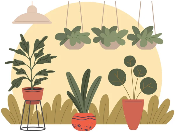 Растения Зеленого Дома Домашний Цветочный Горшок Декоративные Ботанические Цветы Корзине — стоковый вектор