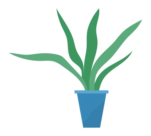 Pote Com Planta Sala Isolada Fundo Branco Vetor Vaso Plantas — Vetor de Stock