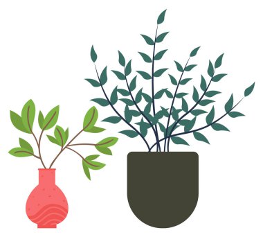 Vazolarda çiçekler, dallarda gelişen ev dekorasyonu için çiçek dekoru, ön cepheli bitki, hassas ve zarif tasarım, kabın içi. Çiçek açan saksıyla izole edilmiş bir saksı. Düz vektör