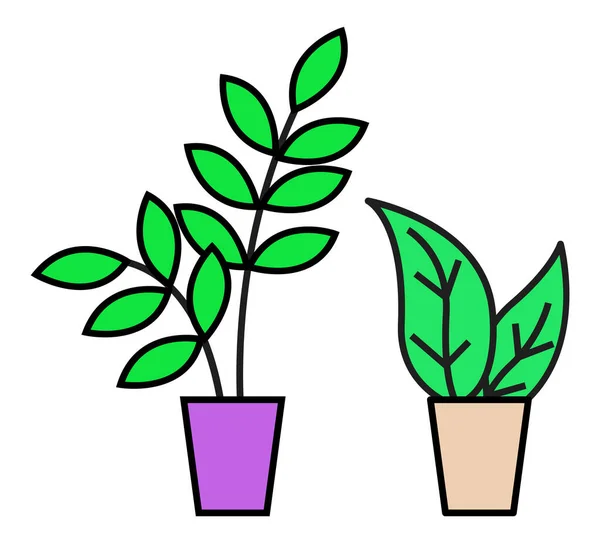 Pflanze Topf Isolierter Satz Botanischer Blattdekoration Für Hause Oder Büro — Stockvektor
