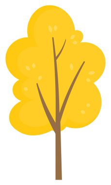 Dallarında altın yapraklar olan sarı ağaç taşıyıcısı, sonbahar mevsimi. İnce kahverengi orman ya da bahçe bitkisi gövdesi. Sonbahar parkı resimlerinin güzel manzarası. Beyaz arkaplandaki izole nesne