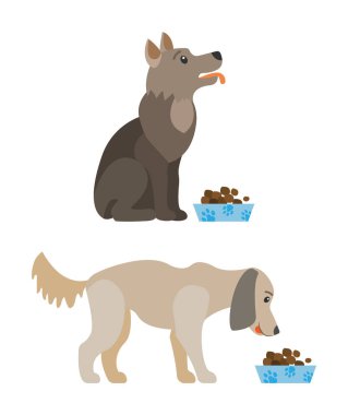 Kaseden köpek yemek, aç evcil hayvan karakteri, köpek besleme, yemek yanında oturan tüylü hayvan, düz dizayn tarzında dizayn edilmiş safkan köpek yavrusu.