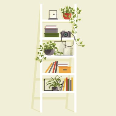 Book shelves with colorful objects. Cartoon design style bookshelves with different potted plants boxes and books. Home library on wall. Hanging shelf with decorations. Office or home furniture